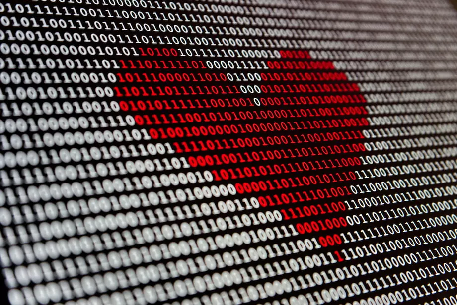 heart made in data