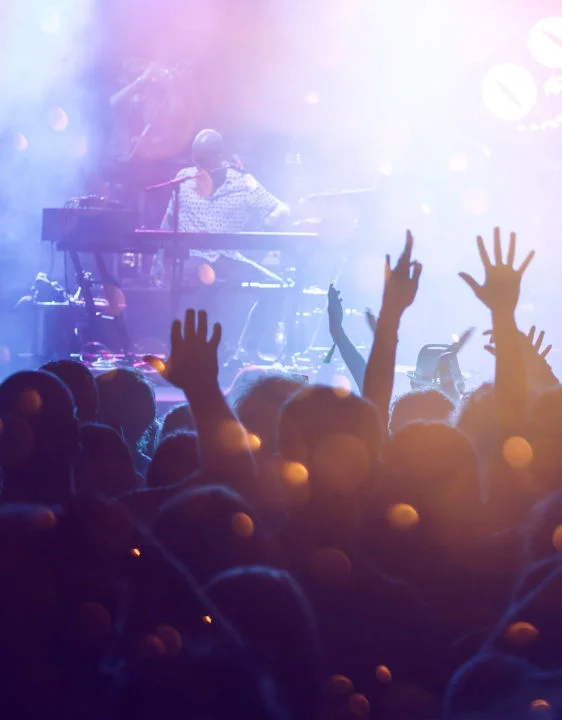 El público de un concierto de música en vivo con las manos en alto
