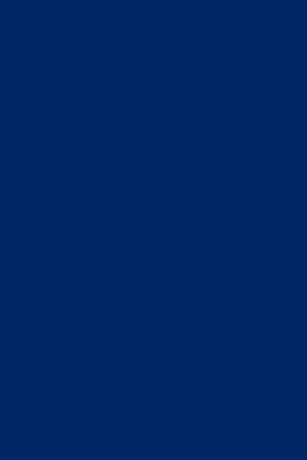 Icons representing internet security features