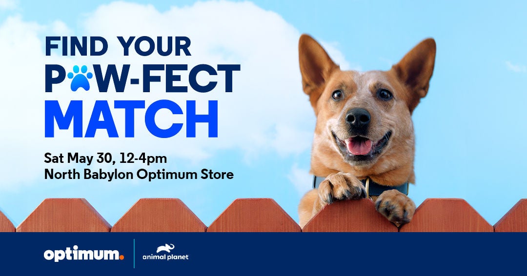 Join Optimum & Animal Planet Adopt-A-Pet Event, North Babylon, LI