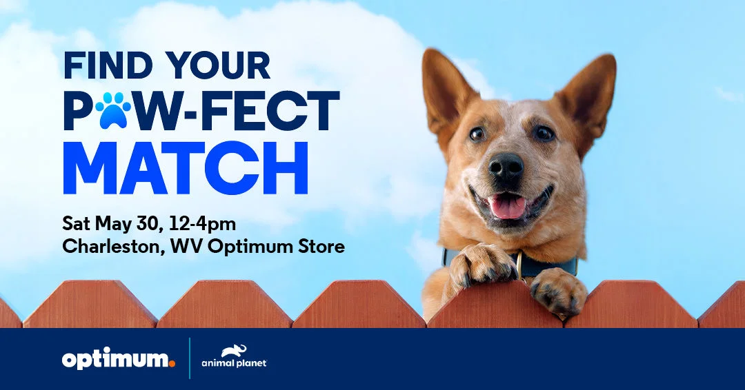Join Optimum & Animal Plan ete Adopt-A-Pet Charleston, WV