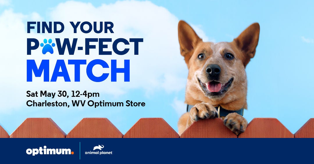 Join Optimum & Animal Planet Adopt-A-Pet Event-Charleston, WV