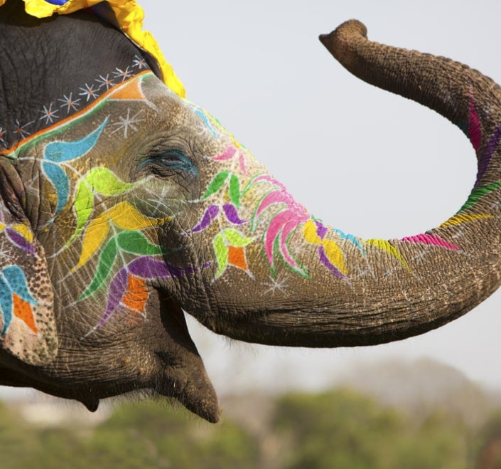Una imagen vibrante que presenta un elefante pintado de manera colorida en un día soleado, que representa la cultura y la estética punyabí. Adecuada para un canal de televisión en punyabí.