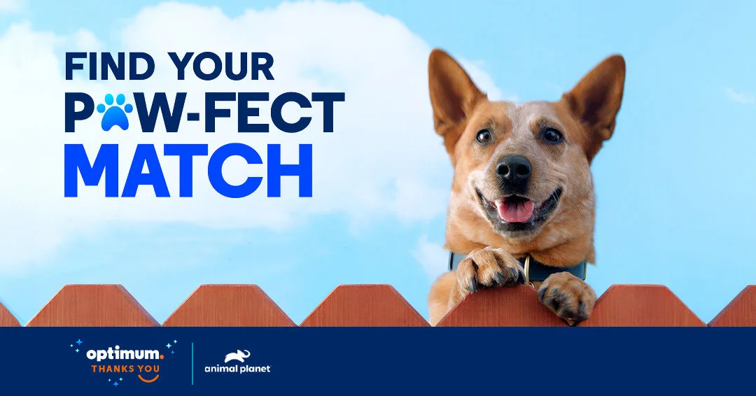 Find Your Paw-Fect Match in Optimum's Charleston & Scott Depot, WV stores