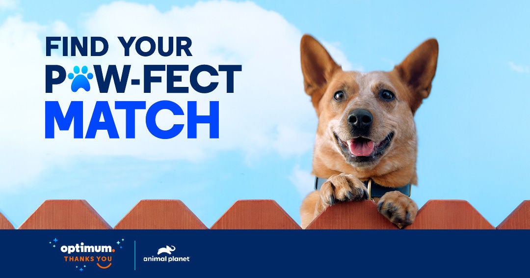 Free Pet Adoption @ Charleston & Scott Depot, WV Optimum Stores
