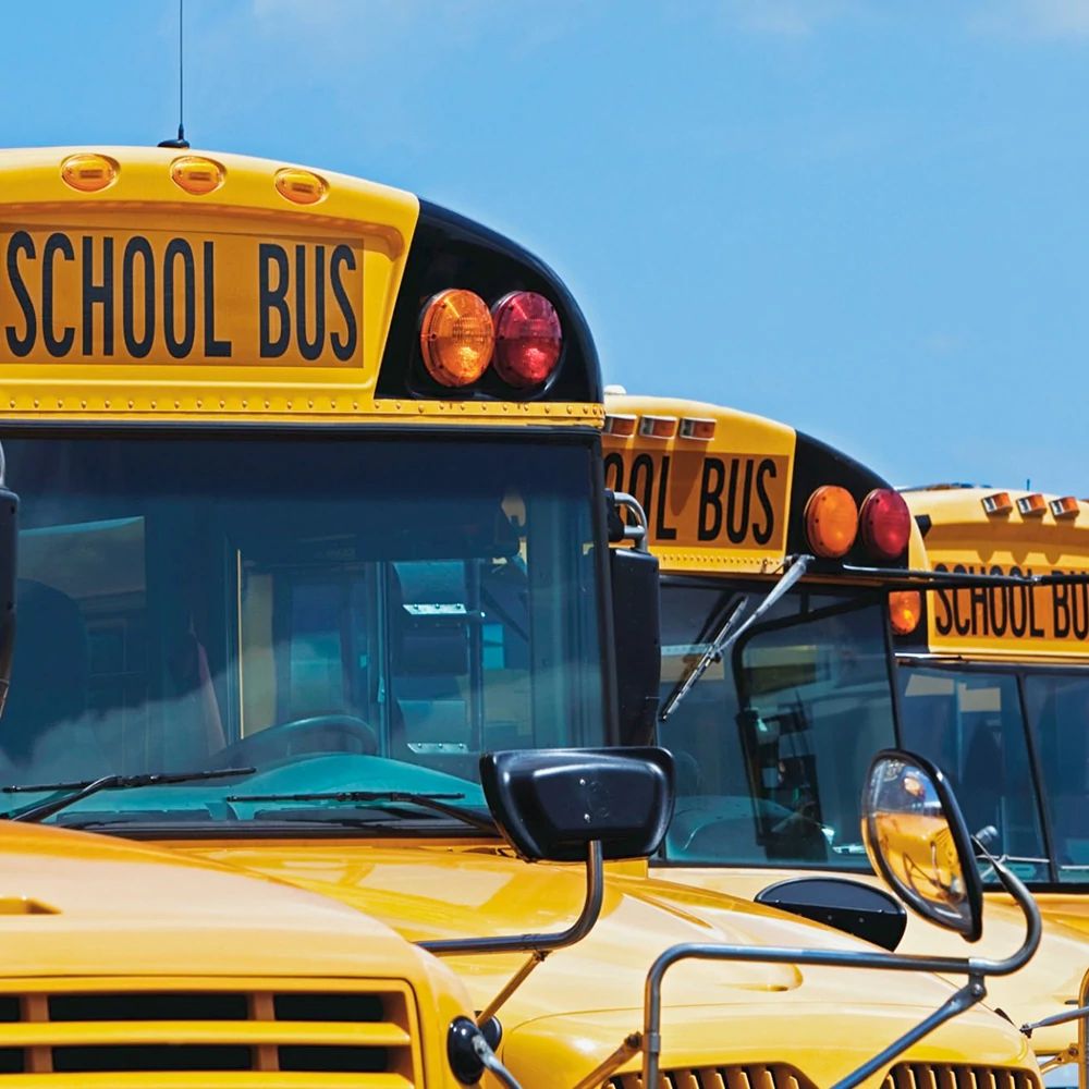 section-2-bus.jpg