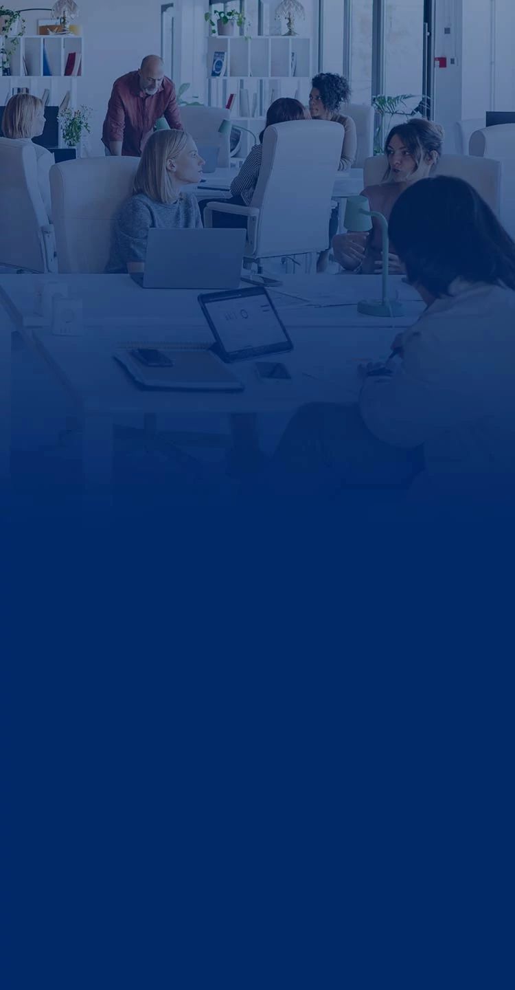 Soluciones empresariales: profesional de negocios