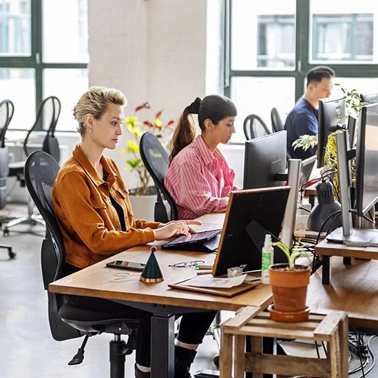 Employees working in an office with computers, representing whole office WiFi coverage.