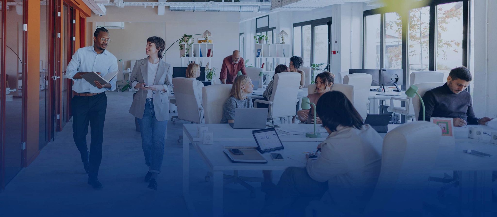 Soluciones empresariales: profesional de negocios