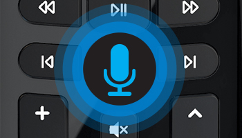 Voice Activated Remote